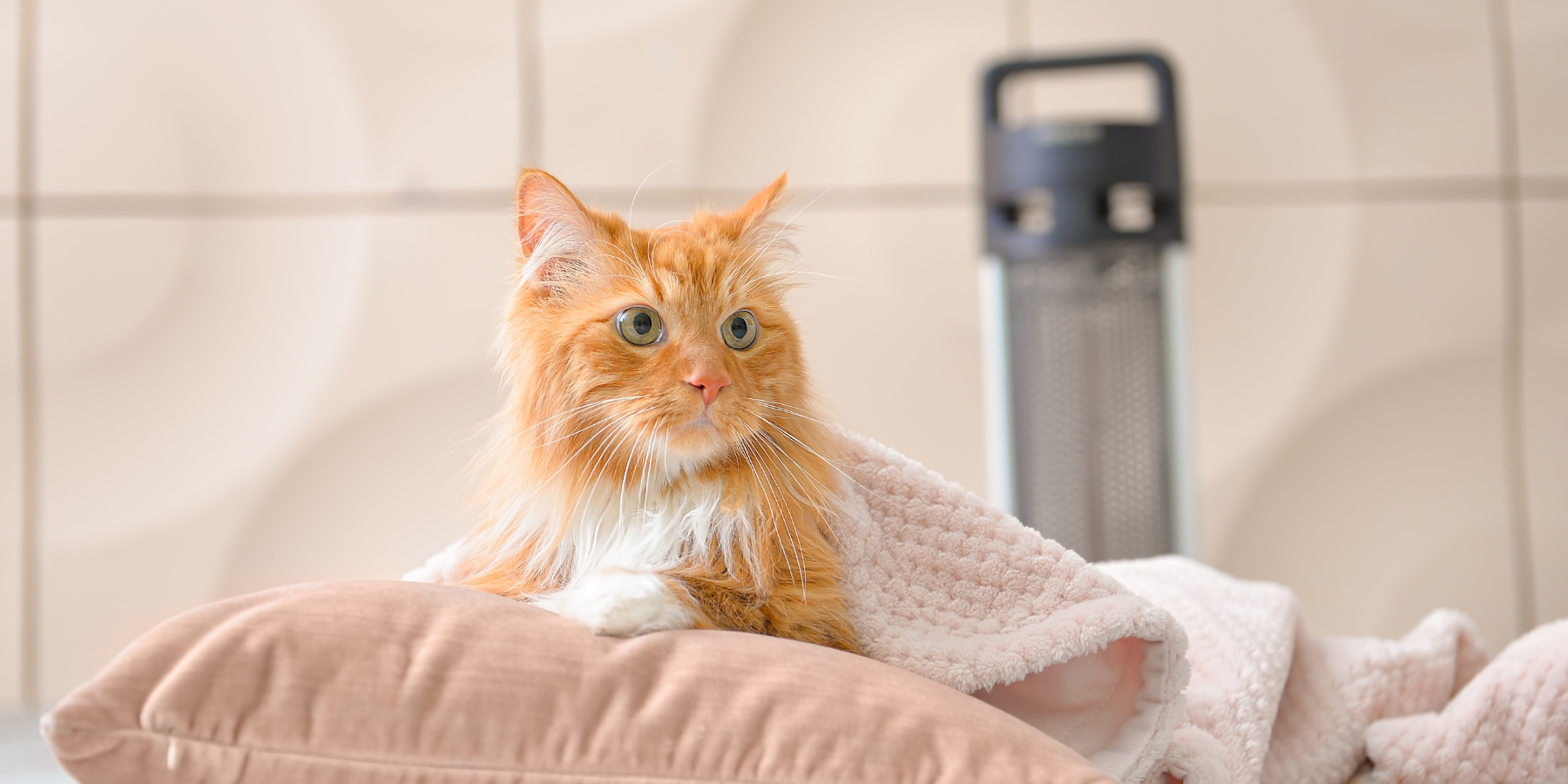 газовый котел без электричества фото