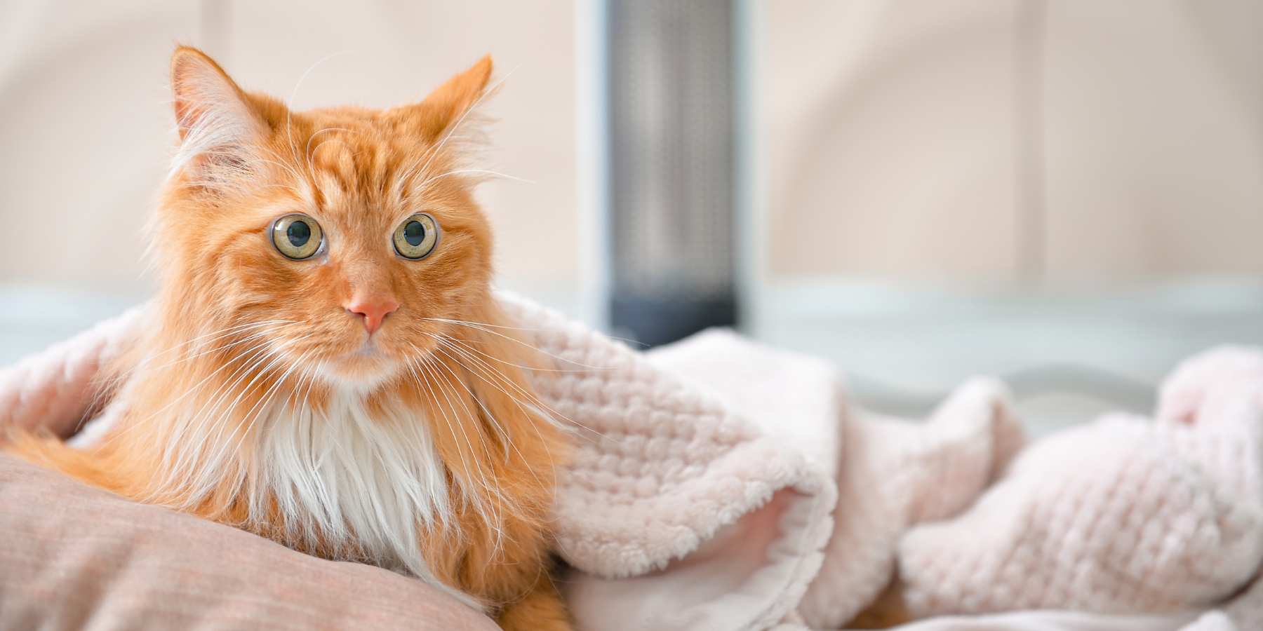 обігрів будинку без електрики фото